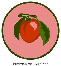 Apricot on a round pink background with a green outline. Vector illustration.