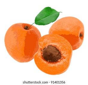 apricot on white background