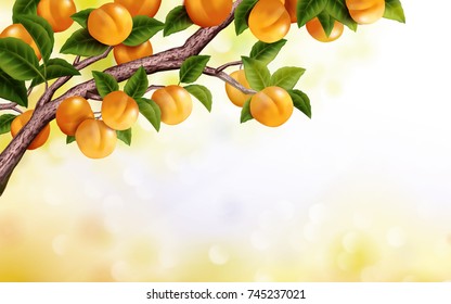 Apricot orchard background, fresh and attractive tree isolated on bokeh background in 3d illustration