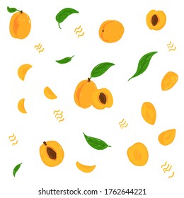 Apricot pattern. Whole apricot, cross-section, leaves, apricot drupe, cut into pieces hand drawn vector illustration set. Apricot collection