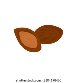 Apricot pits. Almonds in shells. Walnut kernel. isolated on white background.  core of fruit. Replacement of nut. Ingredient for cosmetics, scrub. Doodle. Vector illustration