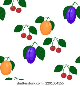 Apricot, plum and cherry, seamless pattern, vector illustration