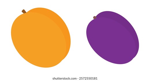 Apricot and Plum in trendy bright colors. Seasonal Stone fruit in minimalist style Design elements