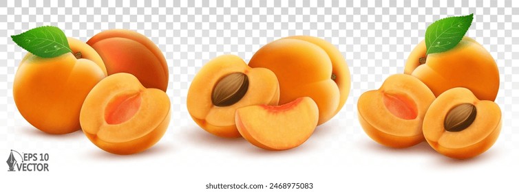 Apricot realistic vector set isolated on white background. Natural fresh fruits, halves, slices and whole apricots with leaves. 3D food illustration for advertising and packaging design