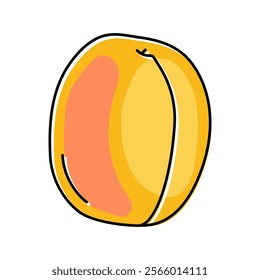 apricot ripe fruit color icon vector. apricot ripe fruit sign. isolated symbol illustration