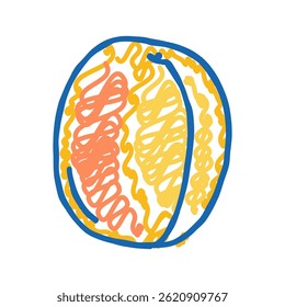 apricot ripe fruit doodle icon sketch vector. apricot ripe fruit sign. isolated symbol illustration
