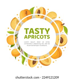 Apricot Round Design with Ripe Fruit Vector Template