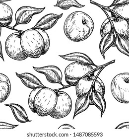 Apricot seamless pattern. Hand drawn fruit, branch and sliced pieces. Food engraved style illustration. Great for label, print, packaging, background. Detailed vegetarian sketch. Vector. 