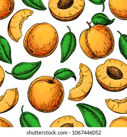 Apricot seamless pattern. Vector drawing . Hand drawn fruit and sliced pieces. Summer food background. Detailed vegetarian sketch. Great for label, fabric, packaging