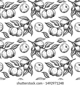 Apricot seamless pattern. Vector drawing. Hand drawn fruit, branch. Summer food engraved style illustration. Detailed vegetarian sketch. Great for label, print, packaging, background