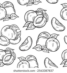 Apricot seamless pattern. Vector drawing. Hand drawn fruit and sliced pieces. Summer food background. Great for label, fabric, packaging