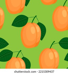 apricot, seamless pattern, vector illustration