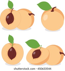Apricot. Set apricots, pieces and slices