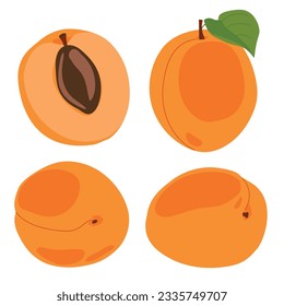 Juego de albaricoquetes. Ilustración vectorial de deliciosas frutas al estilo de las caricaturas. Fruta entera y rodajas aisladas en fondo blanco. Elemento para el diseño, logotipo, embalaje de jugo o mermelada.