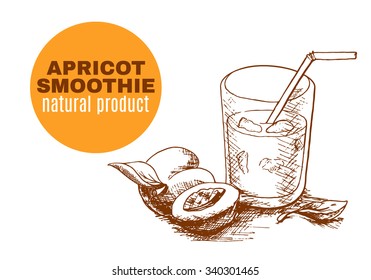 Apricot smoothie vector concept. Menu element for cafe or restaurant with energetic fresh drink made in sketch style. Fresh juice for healthy life.