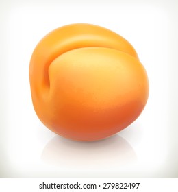 Apricot, fruta de verano, icono vector