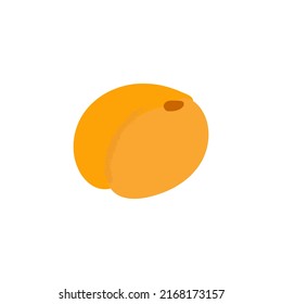 Apricot. Sweet fruit. Drupe. Round form. Doodle illustration