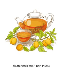 apricot tea illustration