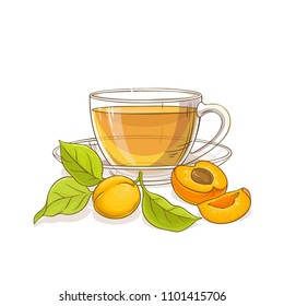 apricot tea illustration