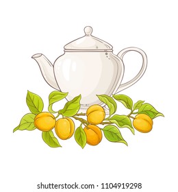 apricot tea vector  illustration on white backgrond