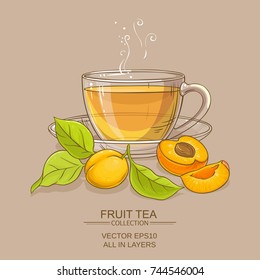 apricot tea vector illustration on color background