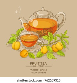 apricot tea vector illustration on color background