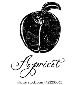 Apricot
A textured Apricot icon.