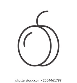 Apricot thin liner icon vector.