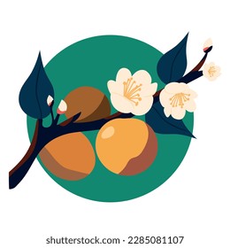 Apricot tree branch with flowers, leaves and fruits, isolated vector illustration