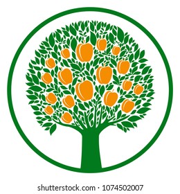 Apricot tree isolated on White background. Apricot icon. Tree full of apricots and green leaves. Garden fruit. Flat style. Vector illustration