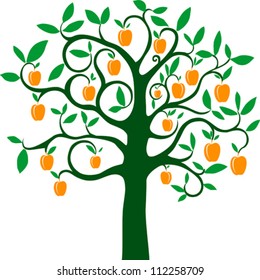 apricot tree isolated on White background. Vector illustration