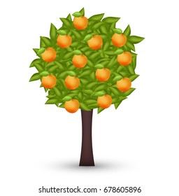 Apricot tree, ripe apricots, vector