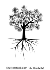 Apricot tree with roots illustration
