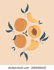 Apricot vector, in boho style. Design for pattern, logo, posters, invitation, greeting card.  Hand drawn abstract  poster with apricot.