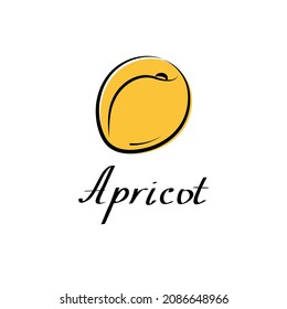 Apricot vector cartoon flat illustration. Fresh fruit and vegetable logo