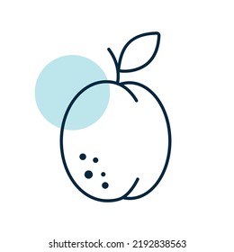 Icono vectorial de Apricot. Símbolo gráfico del sitio web de comida y bebida, diseño de aplicaciones, aplicaciones móviles y medios impresos, logotipo, interfaz de usuario