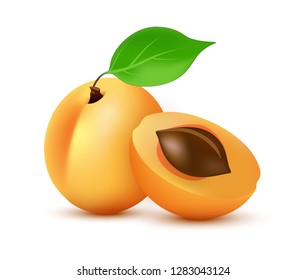 Apricot vector icon in realistic style. Icon illustration of orange summer juicy Fruit with leaf isolated on white background.
