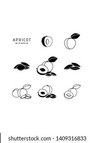 Apricot - vector icon set on white background. Symbol for web, infographics, print design and mobile UX/UI kit. Vector illustration, EPS10.