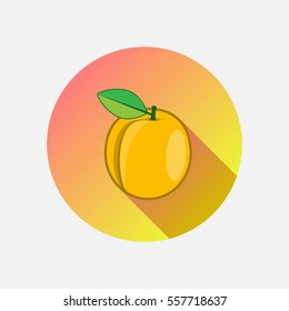 Apricot vector, icon, symbol made in a flat style. Fruit isolated organic ripe with leaf, illustration for your Projects summary.