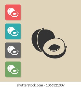 Apricot - vector icon . Symbol for web, infographics, print design and mobile UX/UI kit. Vector illustration, EPS10.