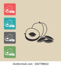 Apricot - vector icon . Symbol for web, infographics, print design and mobile UX/UI kit. Vector illustration, EPS10.