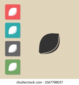 Apricot - vector icon . Symbol for web, infographics, print design and mobile UX/UI kit. Vector illustration, EPS10.