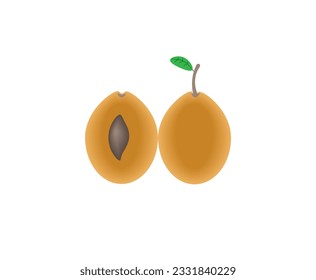 Apricot vector illustration isolated on white background