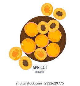 Apricot vector illustration set Set of ripe apricots and halves of fruit, on a wooden plate, vector illustration Isolated on white background element for label.