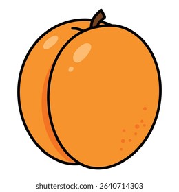 Apricot vector illustration, simple design