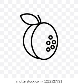 Apricot vector linear icon isolated on transparent background, Apricot transparency concept can be used for web and mobile
