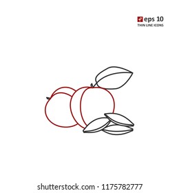 Apricot vector thin line icon on white background. Symbol for web, infographics, print design and mobile UX/UI kit. Vector illustration, EPS10.