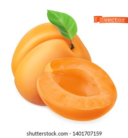 Apricot vectorized image. Fresh fruit. 3d realistic vector icon