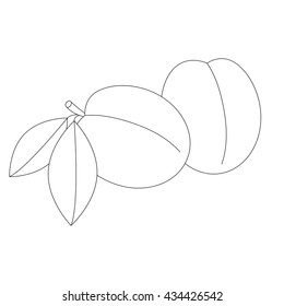 Apricots to be colored. Coloring book to educate kids. Learn colors. Visual educational game. Easy kid gaming and primary education. Simple level of difficulty. Coloring pages.