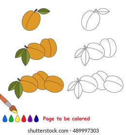 Apricots to be colored. Coloring book to educate preschool kids with easy kid educational gaming and primary education of simple game level of difficulty.